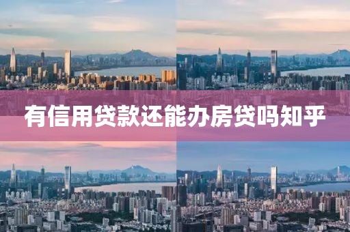 有信用贷款还能办房贷吗知乎