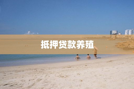 抵押贷款养殖