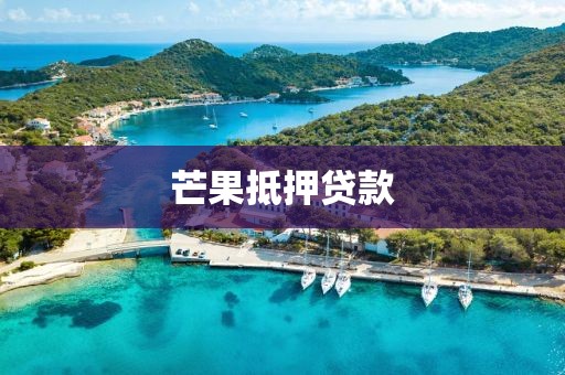 芒果抵押贷款