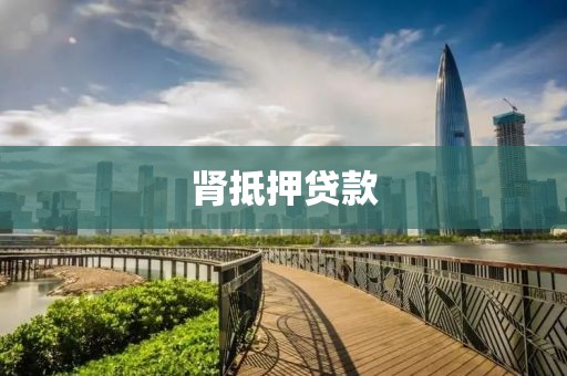 肾抵押贷款