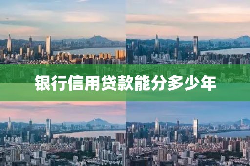 银行信用贷款能分多少年