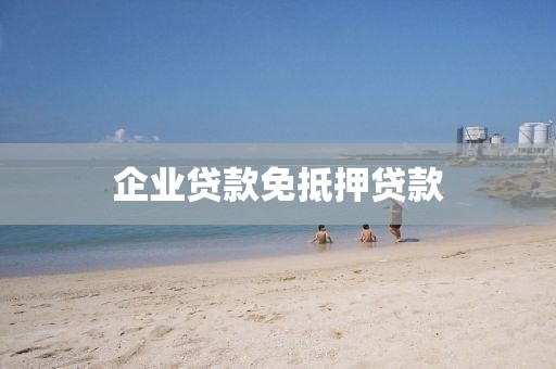 企业贷款免抵押贷款
