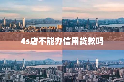 4s店不能办信用贷款吗
