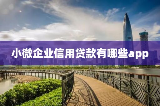 小微企业信用贷款有哪些app
