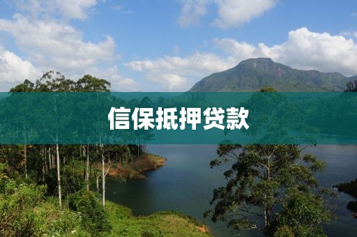 信保抵押贷款