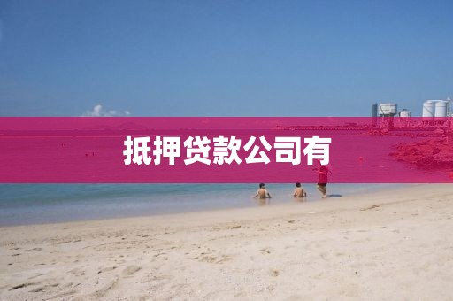 抵押贷款公司有
