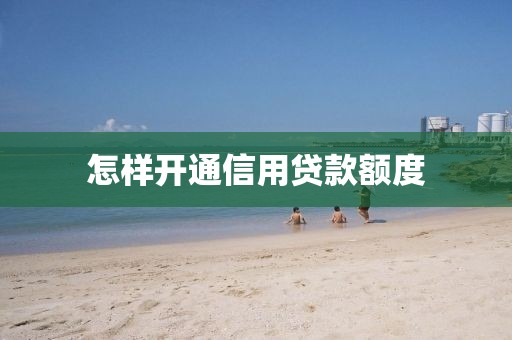 怎样开通信用贷款额度