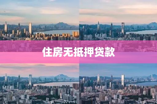 住房无抵押贷款