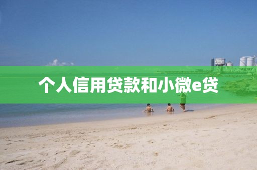 个人信用贷款和小微e贷