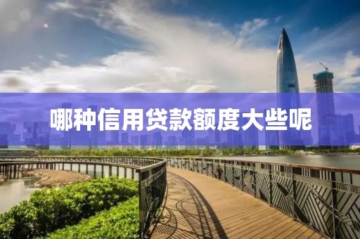 哪种信用贷款额度大些呢