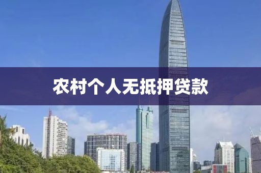 农村个人无抵押贷款