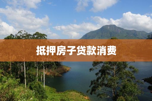 抵押房子贷款消费