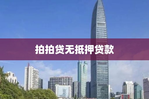 拍拍贷无抵押贷款