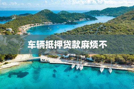 车辆抵押贷款麻烦不
