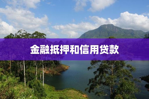 金融抵押和信用贷款