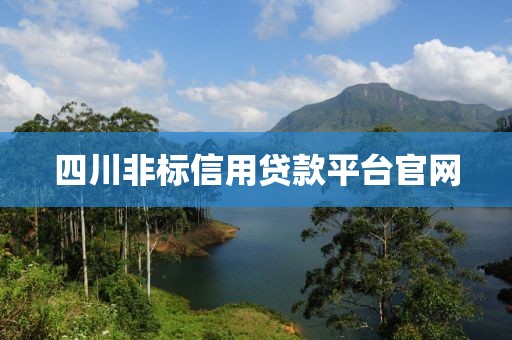 四川非标信用贷款平台官网