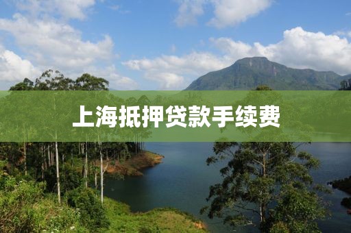 上海抵押贷款手续费