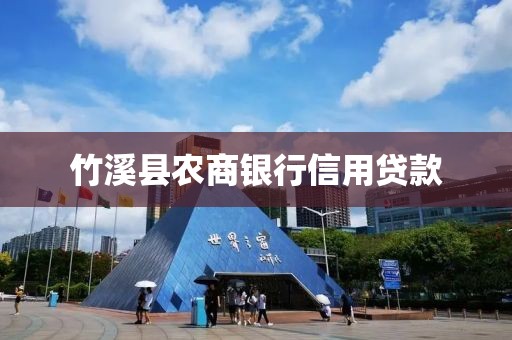 竹溪县农商银行信用贷款
