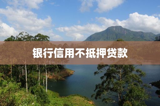 银行信用不抵押贷款