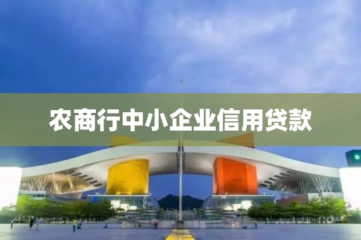 农商行中小企业信用贷款