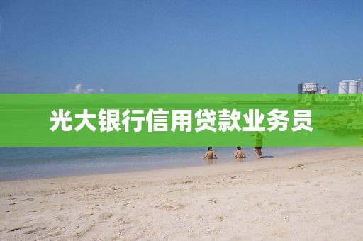 光大银行信用贷款业务员