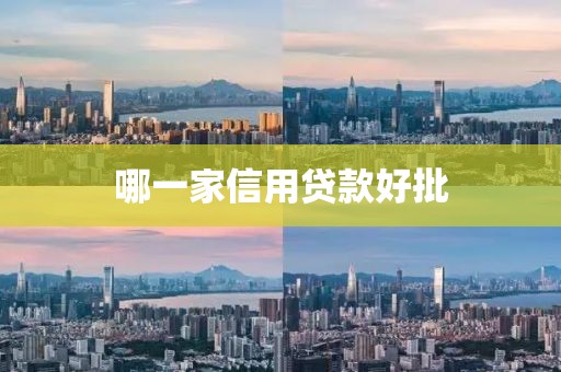 哪一家信用贷款好批
