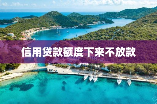 信用贷款额度下来不放款