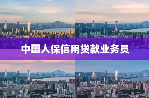 中国人保信用贷款业务员