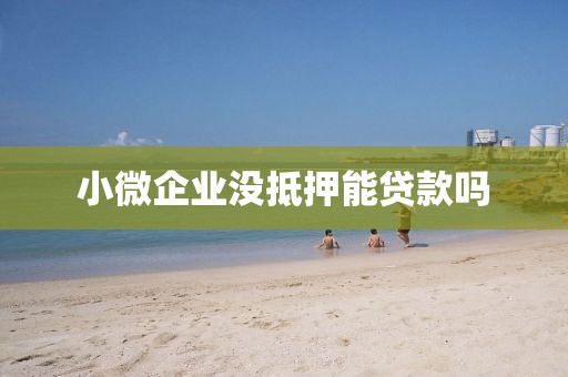 小微企业没抵押能贷款吗