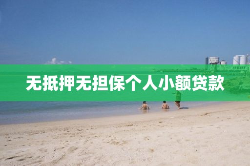 无抵押无担保个人小额贷款