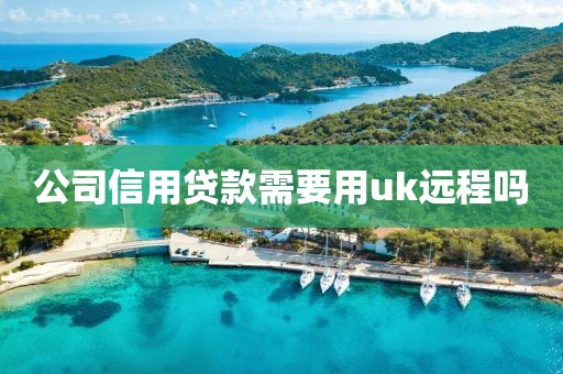 公司信用贷款需要用uk远程吗