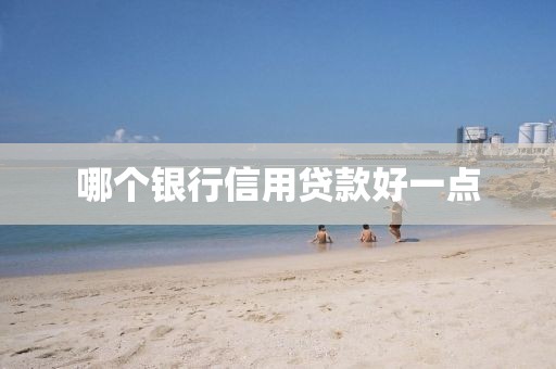 哪个银行信用贷款好一点