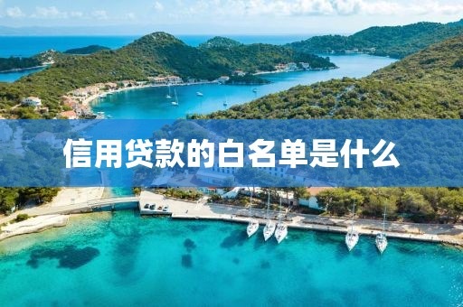 信用贷款的白名单是什么