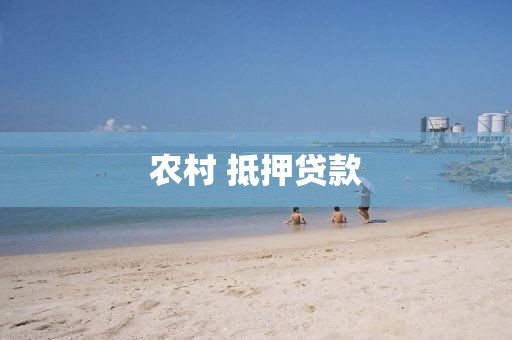 农村 抵押贷款