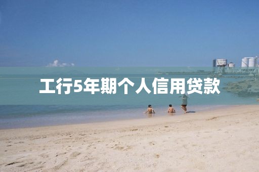 工行5年期个人信用贷款