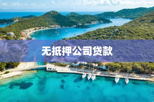无抵押公司贷款