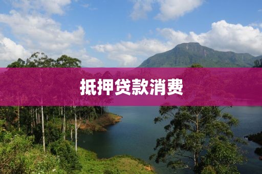 抵押贷款消费
