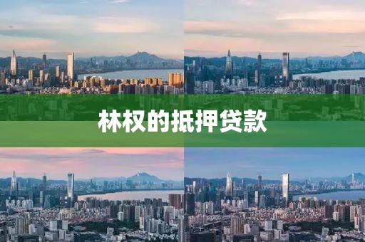 林权的抵押贷款