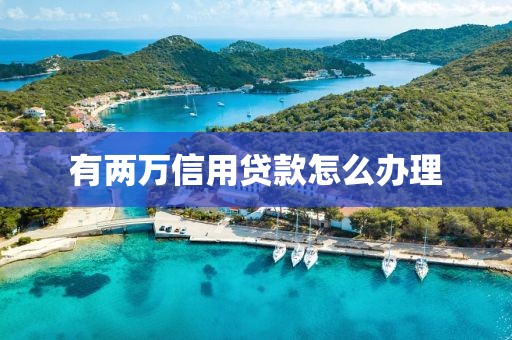 有两万信用贷款怎么办理