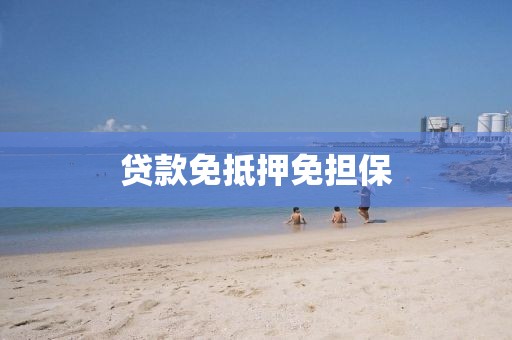 贷款免抵押免担保