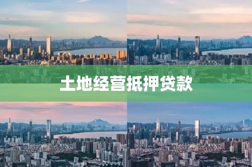 土地经营抵押贷款