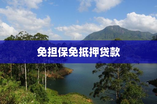 免担保免抵押贷款