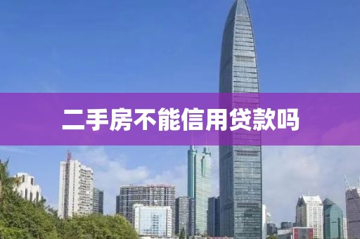 二手房不能信用贷款吗