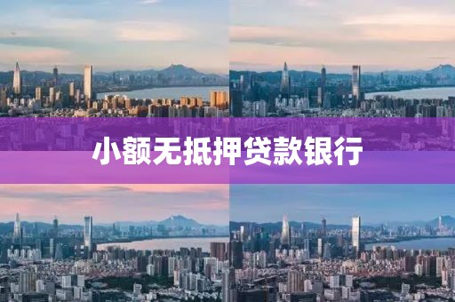 小额无抵押贷款银行