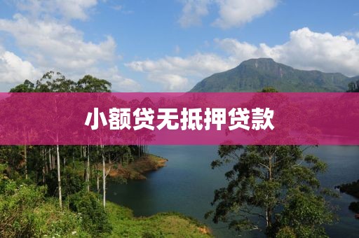 小额贷无抵押贷款